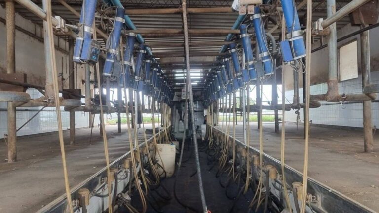 Sancor funciona al mínimo de su capacidad y despide a 350 empleados