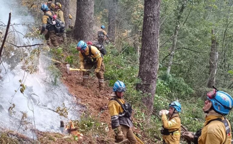 Córdoba aporta un avión hidrante para combatir los incendios en Neuquén