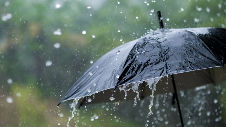 Según la inteligencia artificial, a estos signos del zodíaco no les gusta salir con lluvia