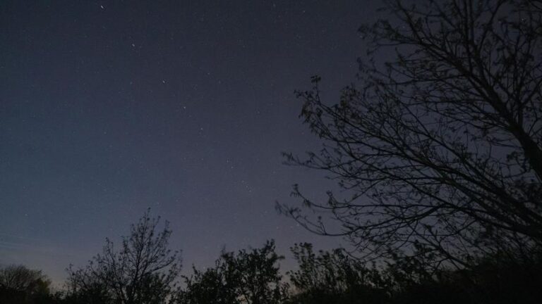Starlink, los satélites de Elon Musk que sacuden el cielo y la política internacional