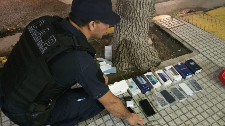 Quedó detenido tras sustraer 14 teléfonos de un local comercial