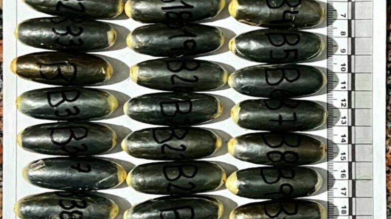 Detienen a dos bolivianos con cápsulas de cocaína en ómnibus de larga distancia