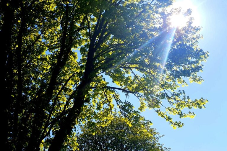 Clima en Córdoba: cómo estará la temperatura este domingo 6 de abril