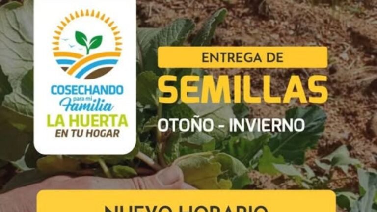 Entregarán semillas para huertas en Valle Hermoso