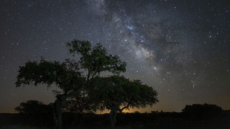 Cuatro rutas Starlight para ver las estrellas bajo el cielo de Los Pedroches este verano