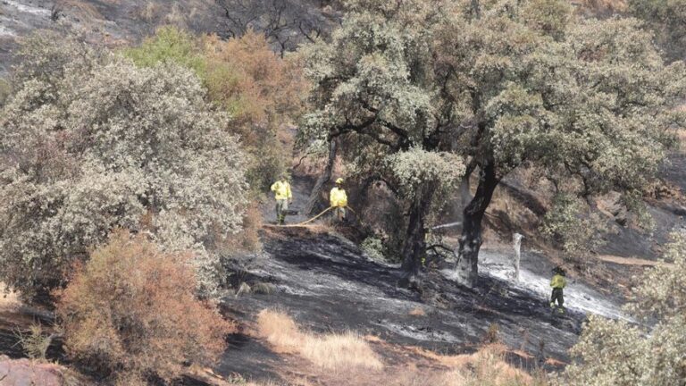 Las tres noticias más importantes de la tarde en Córdoba