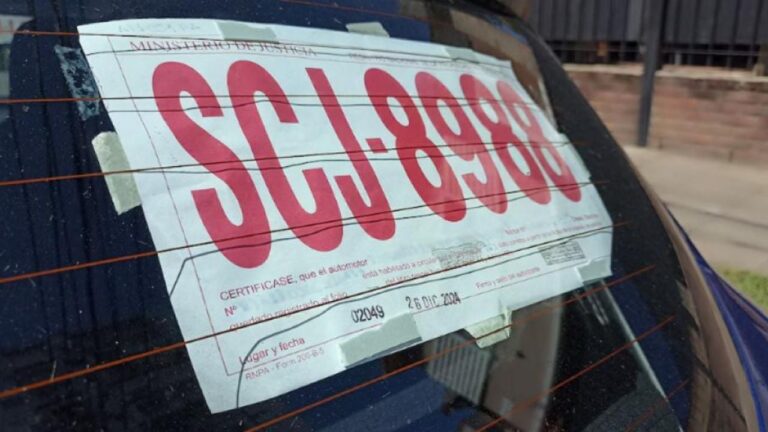 Estiman que en septiembre se normalizará la entrega de patentes de automóviles