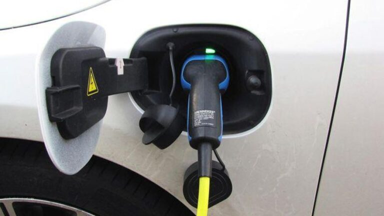 Prevención de incendios y combustibles renovables Qué tienen en común?