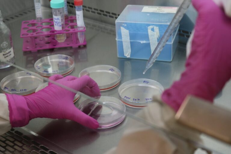 Actividad inclusiva en la Facultad de Ciencias Químicas de la UNC