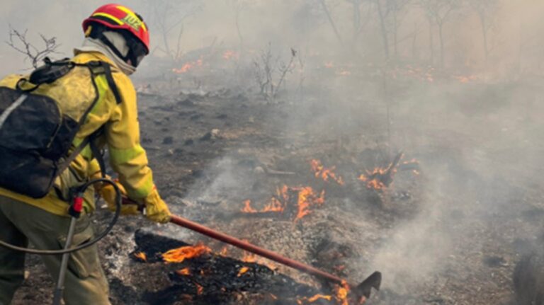 Fuego en Córdoba: bomberos luchan contra un incendio en Pampa Alta