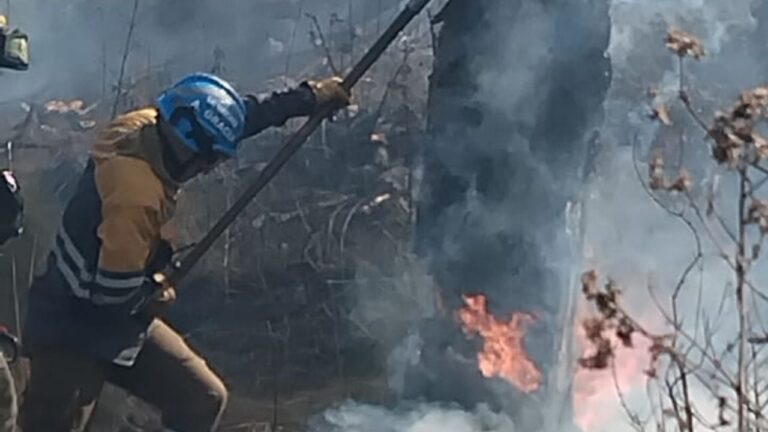 Combaten un voraz incendio entre Potrero de Garay y San Clemente