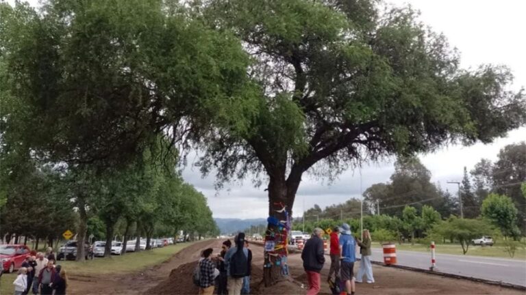 La tribu toba-qom adoptó como hija del quebracho blanco a la periodista Silvia Majul