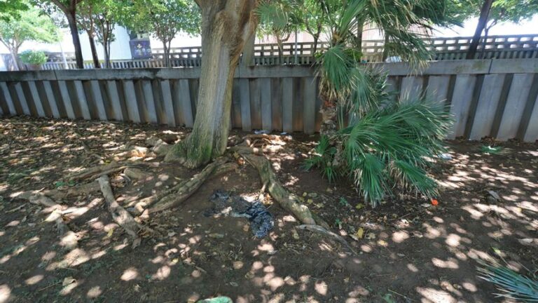 Fallece la mujer alcanzada por un rayo en la Marina de València