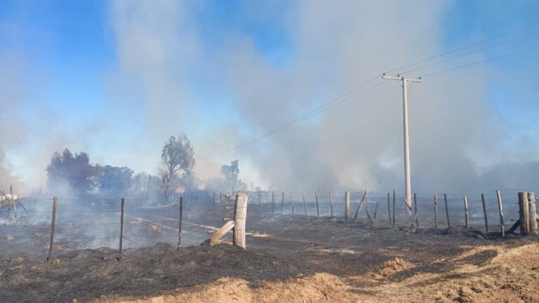 Al borde de la tragedia: intentaba prender fuego en un campo de Córdoba y quedó detenido