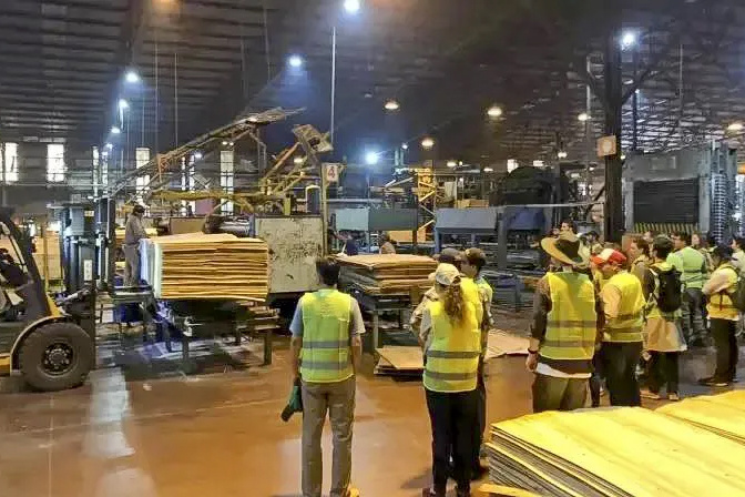 La principal maderera de Corrientes paraliza su actividad y suspende a 520 trabajadores