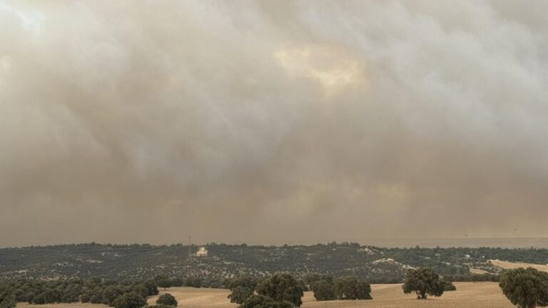 Declarado un incendio de nivel 2 en la localidad madrileña de Tres Cantos por su proximidad a las viviendas