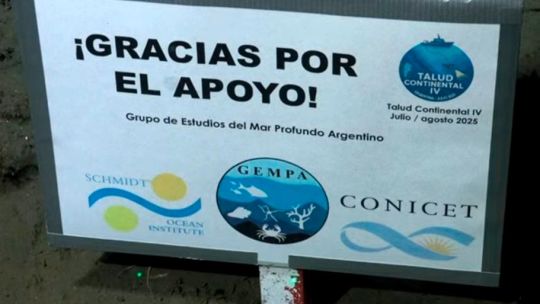 El CONICET se despidió de algas, moluscos y «estrellas culonas»: cómo fue el último streaming en vivo