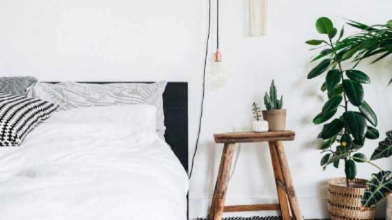 Plantas ideales para colocar en tu mesita de luz que te ayudan a dormir mejor