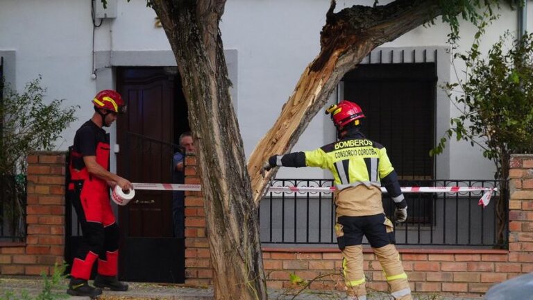 Las fuertes rachas de viento movilizan a los bomberos en Pozoblanco por varias caídas de árboles