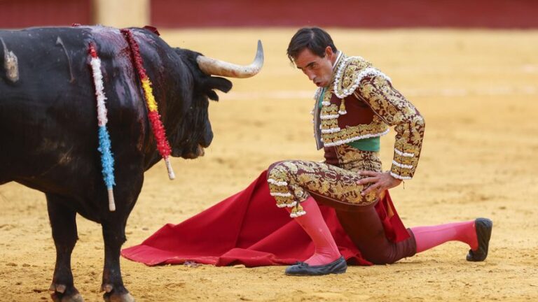 Oreja para la gran firmeza