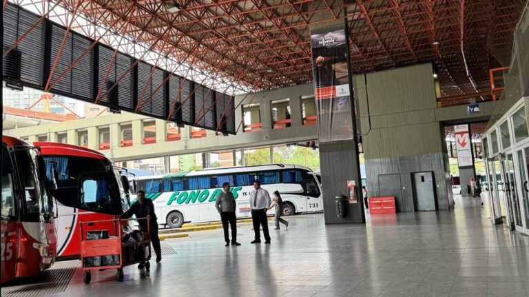 Terminal de Ómnibus de Córdoba: detenido cuando intentó arrebatarle el arma a una policía
