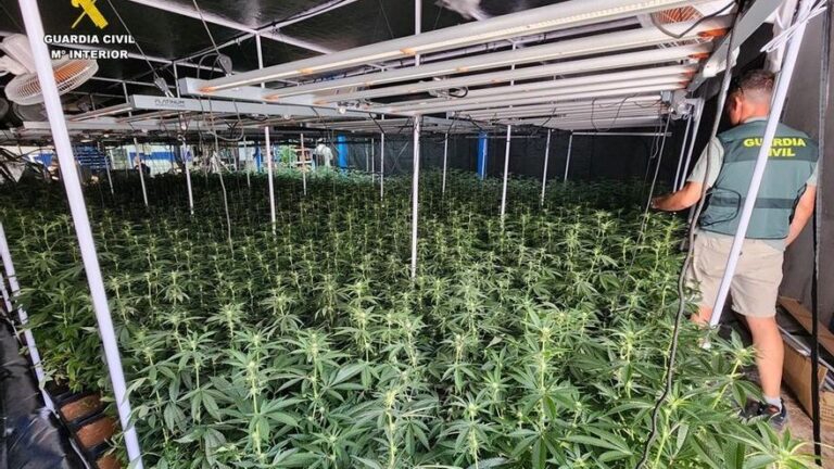 Desarticulada una banda de más de 170 narcotraficantes polacos que operaba desde España