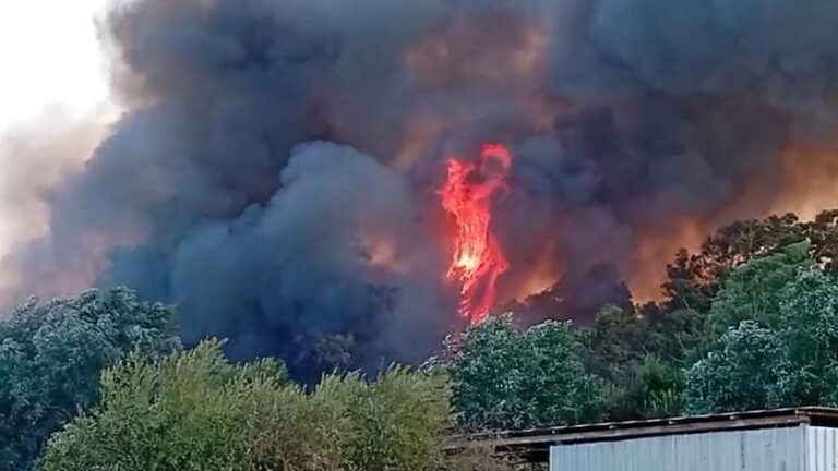El Ayuntamiento de Palma del Río destinará fondos en los presupuestos para la prevención de incendios