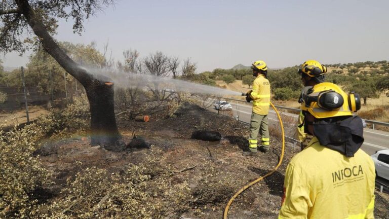 Extinguido el fuego de Villanueva del Rey tras cuatro días de incertidumbre por su reactivación