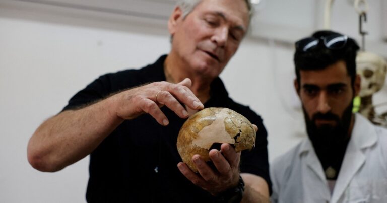 Revelación sobre la evolución humana: un cráneo de hace 140 mil años sería la evidencia más antigua del mestizaje de neandertales y sapiens