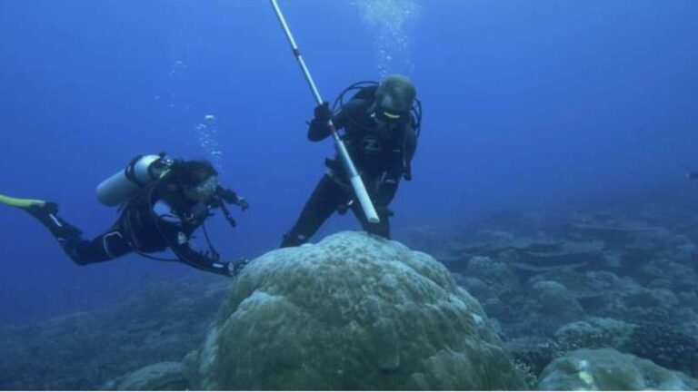 La crisis de la Antártida amenaza con un impacto global apocalíptico