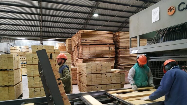 La economía cayó en junio por segundo mes consecutivo: se contrajo 0,7%, según el INDEC