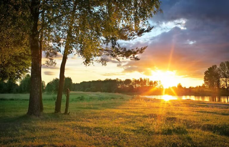 En Córdoba: domingo frío por la mañana, aunque cálido y algo ventoso por la tarde
