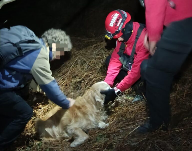 Se perdieron camino al Champaquí y el perro dijo hasta acá llegué: lo bajaron a upa (video)