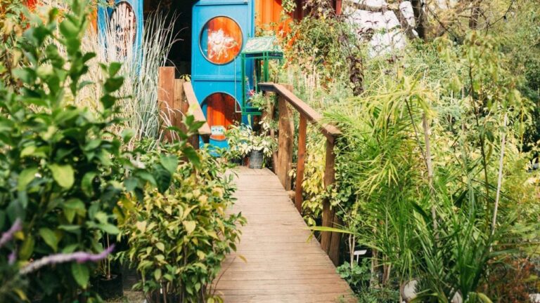 Cultiva tu jardín en Córdoba: los tips esenciales para un oasis sustentable