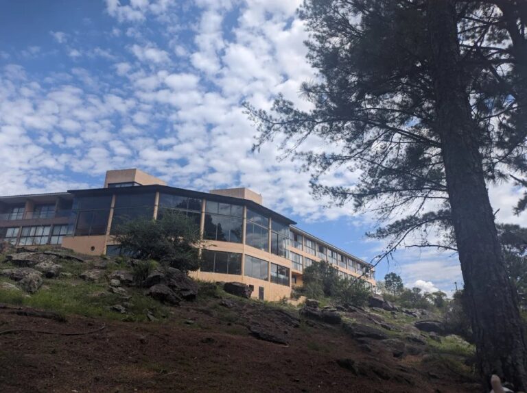 Raíces del Futuro: encuentro de emprendedores, terapeutas y productores por un turismo consciente