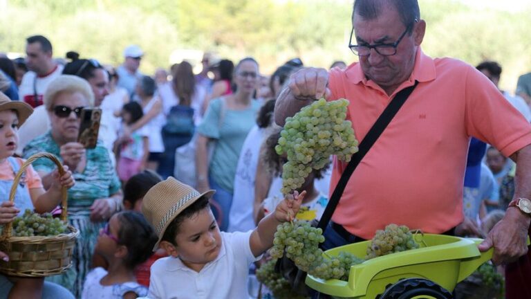 La vendimia vista por los niños para sembrar el amor por la tierra en Montilla