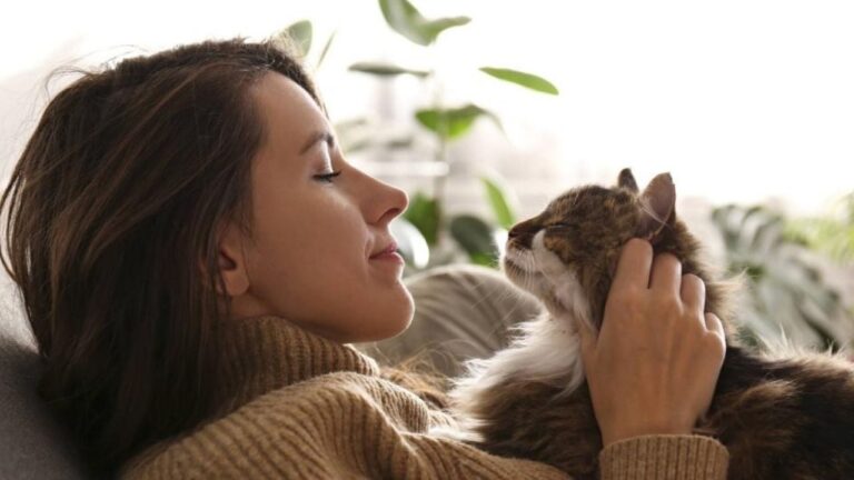 Tu gato te ama? Descubrí las señales de afecto más comunes en felinos