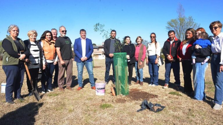 Municipio y el Rotary Club La Cumbre plantaron 29 ejemplares de aguaribay