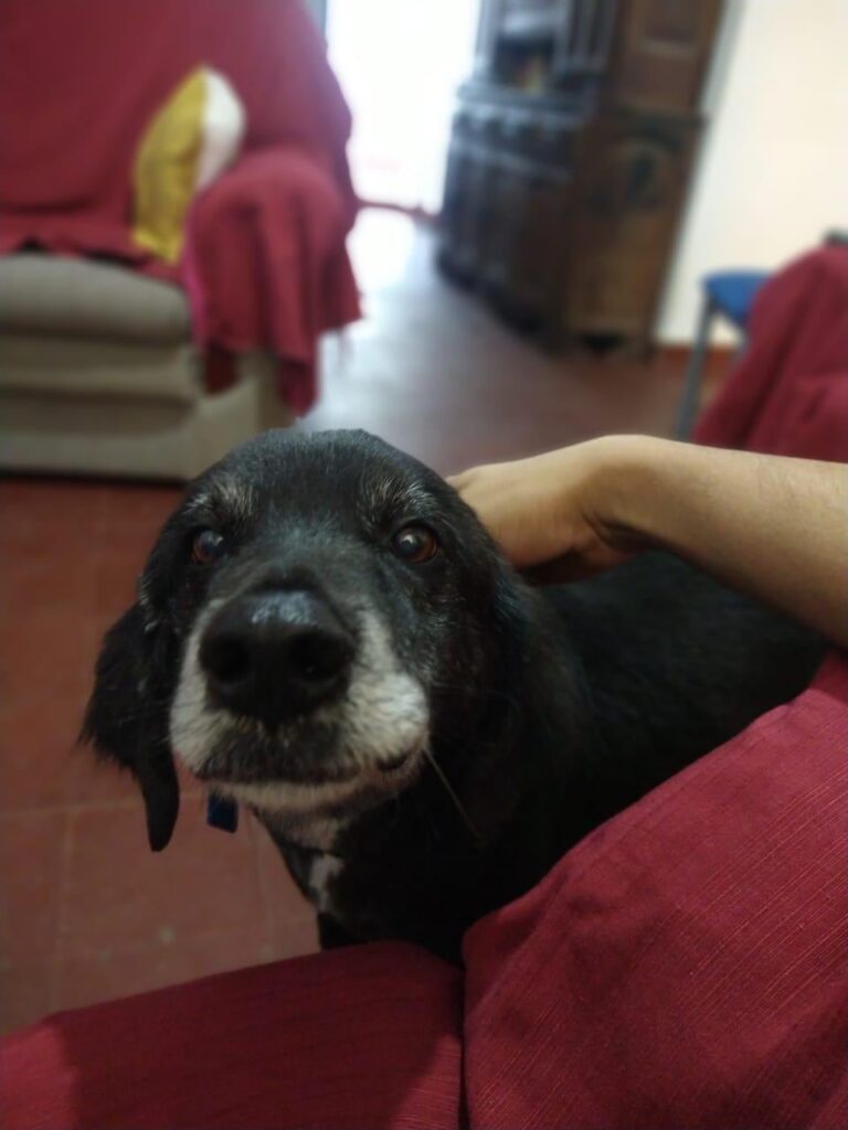 Lo ataron a una moto y lo arrastraron para que muriera, pero un grupo de vecinos llegó justo a tiempo: Era un viejito y estaba inconsciente