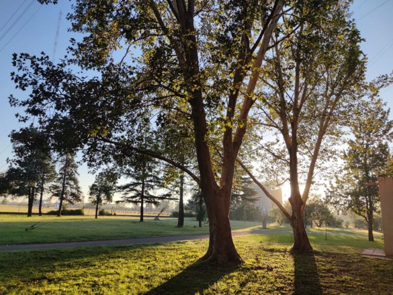 Córdoba disfrutará de un sábado caluroso y se espera un domingo algo más fresco