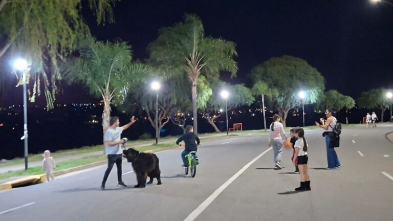 De noche, la costanera de Carlos Paz brilla con bares y paseos