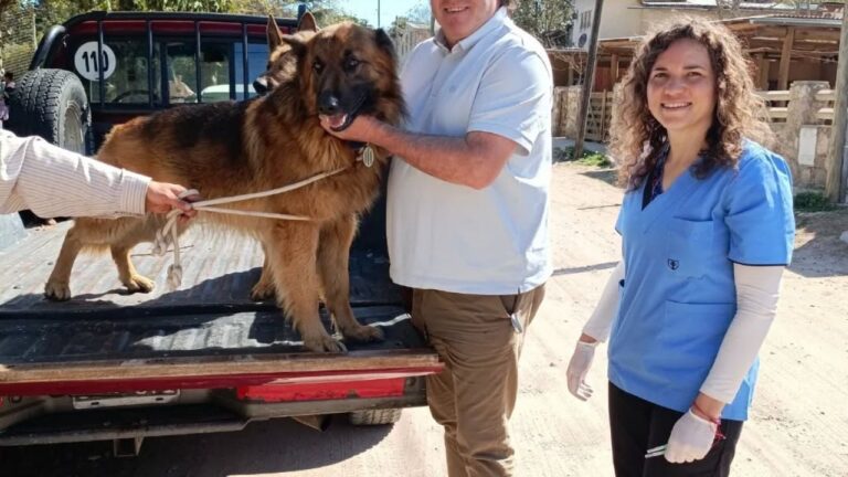 Huerta Grande: campaña gratuita de vacunación antirrábica