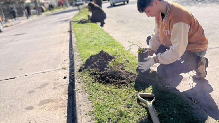 Plantaron árboles nativos en barrio Sol y Lago