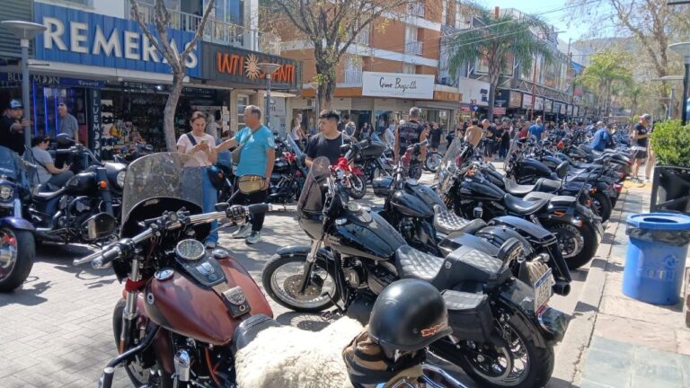 El rugido de las Harley Davidson en el centro: motores en marcha