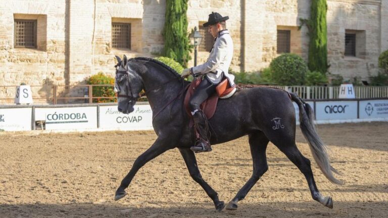 Caballerizas Reales acoge la Copa de España de Alta Escuela en el marco de Cabalcor 2025