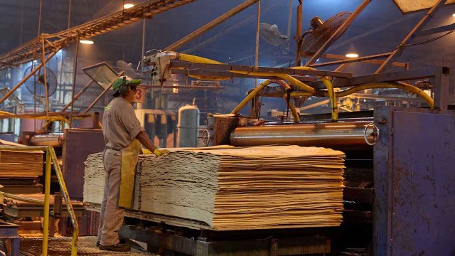 Compra de acciones y cambio de manos en el control de Celulosa Argentina