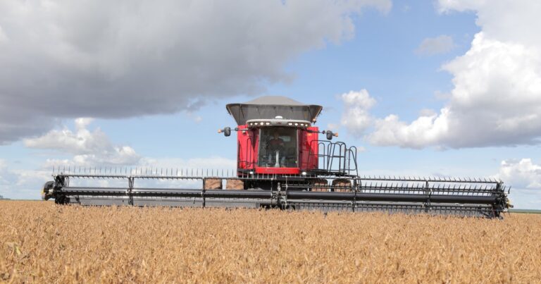 La baja de las retenciones a cero a los granos regirá hasta el 31 de octubre o hasta que se alcance un tope en las exportaciones de US$ 7.000 millones