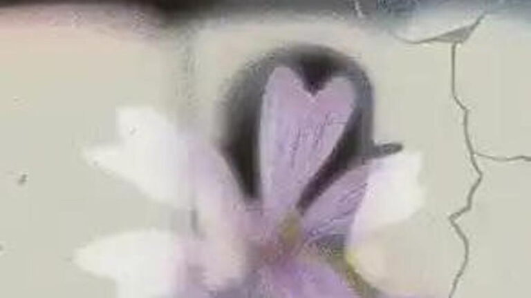 Qué hacer hoy en Córdoba, viernes 3 de octubre de 2025