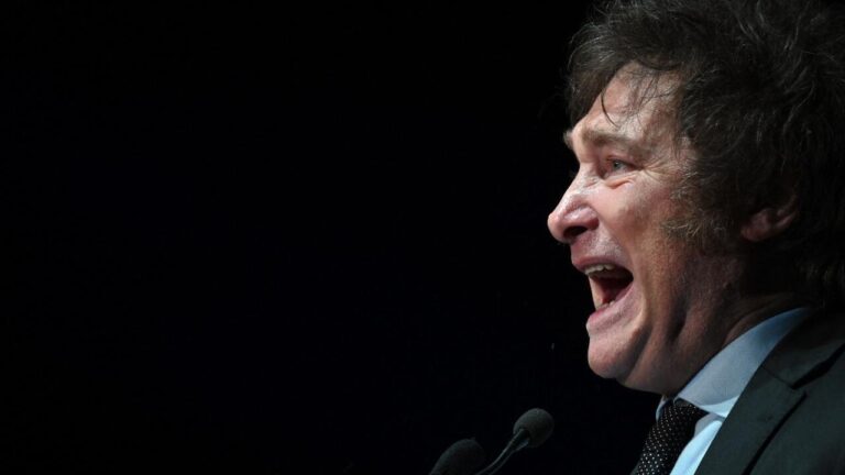 Alerta institucional: las palabras de Milei violan la Carta Magna y socavan la democracia