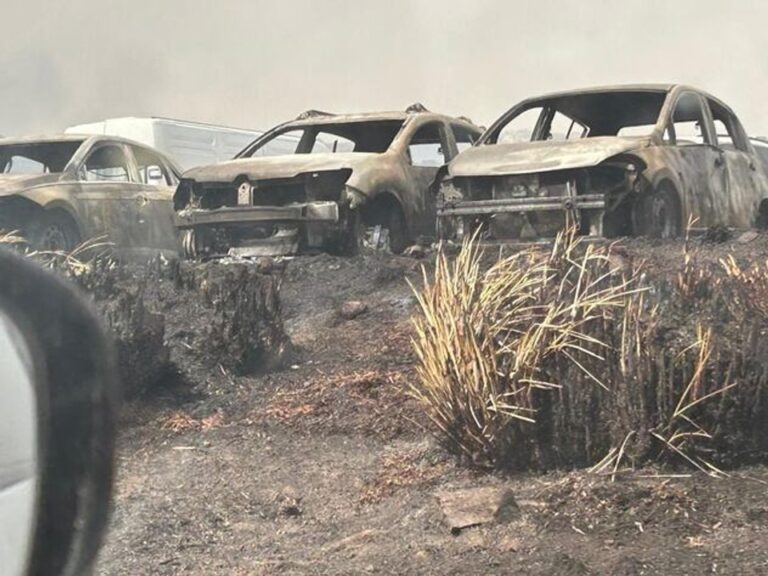 Combaten foco en el Parque Nacional Quebrada del Condorito: autos incendiados